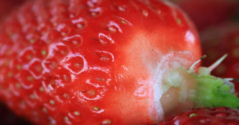 Was kostet der gesunde Snack? Ein Vergleich